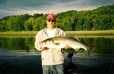 Look at this beautiful striper taken during one of our guided fishing trips